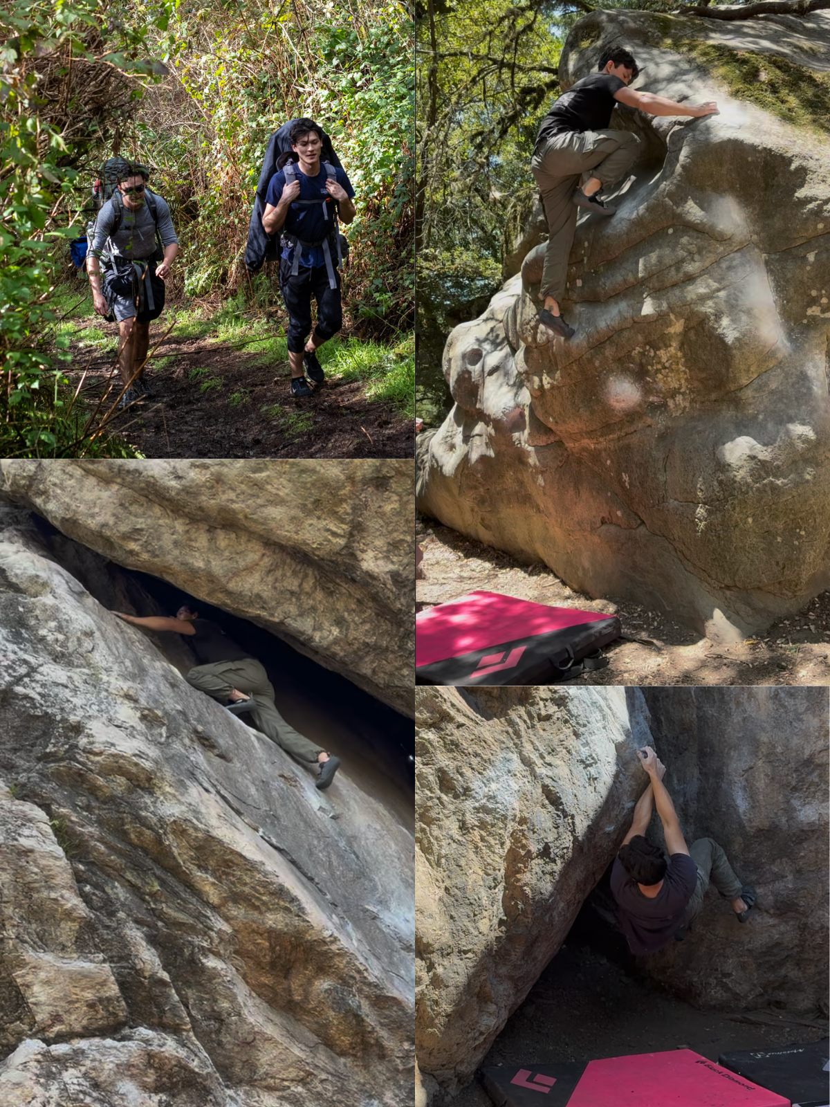 "Hobbies & Interests" image 1