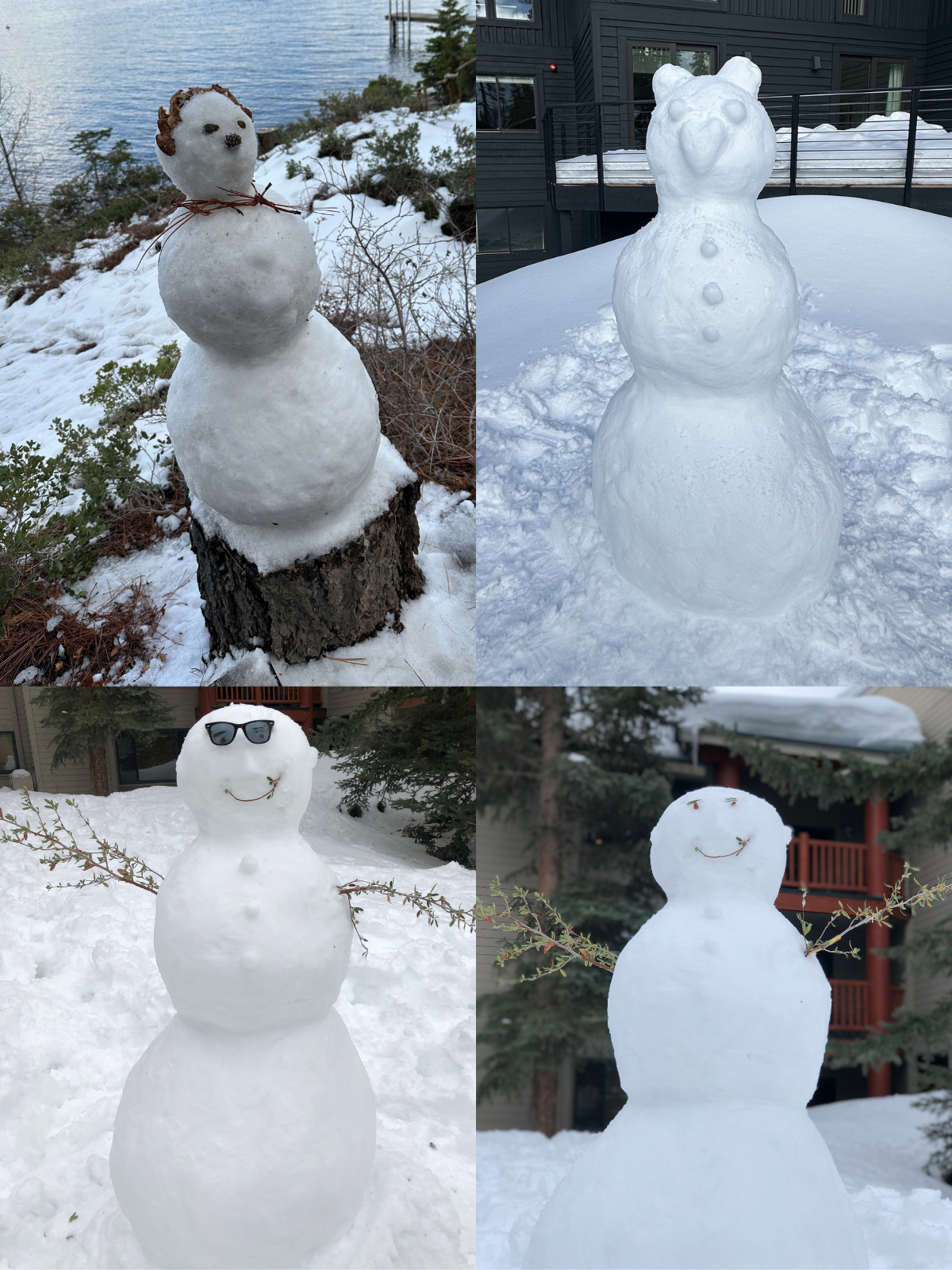 "Hobbies & Interests" image 3